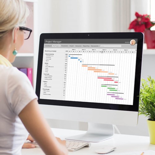 Person looking at a Gantt chart on computer screen