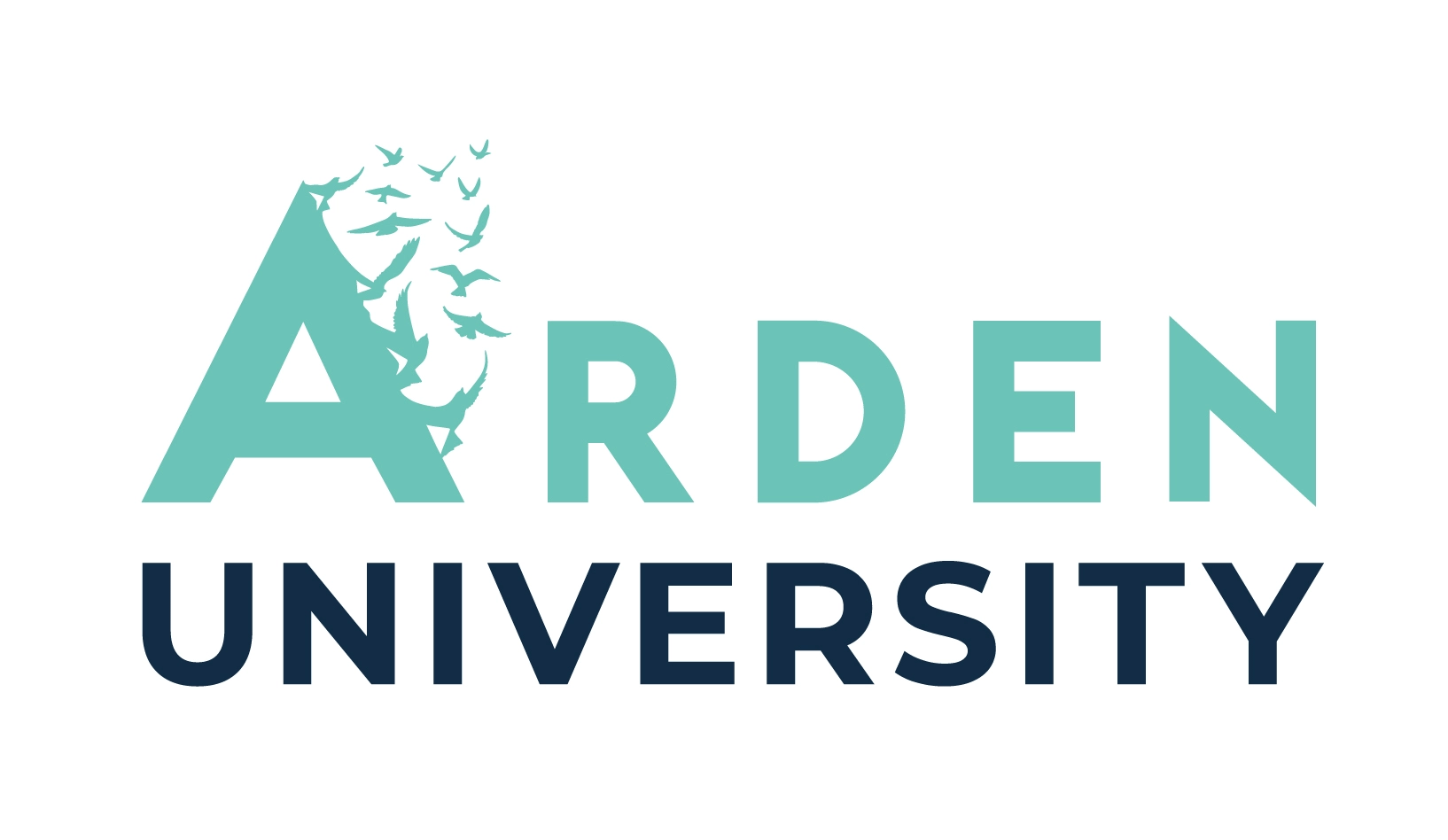 Arden University